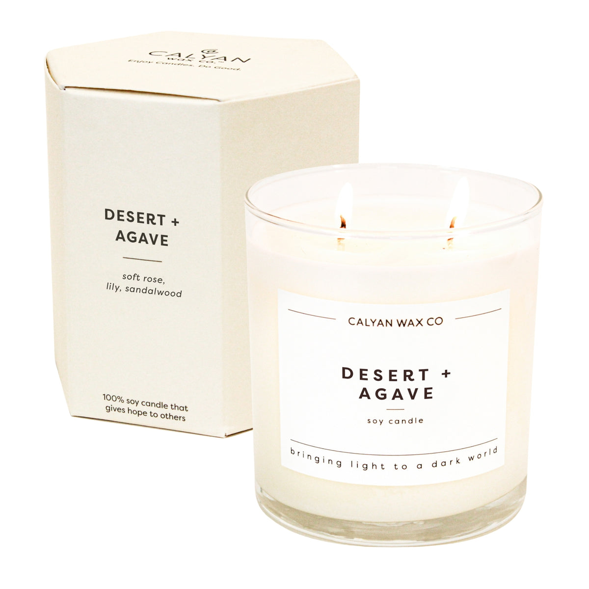 Desert + Agave Soy Candle in a Glass Tumbler - Calyan Wax Co.