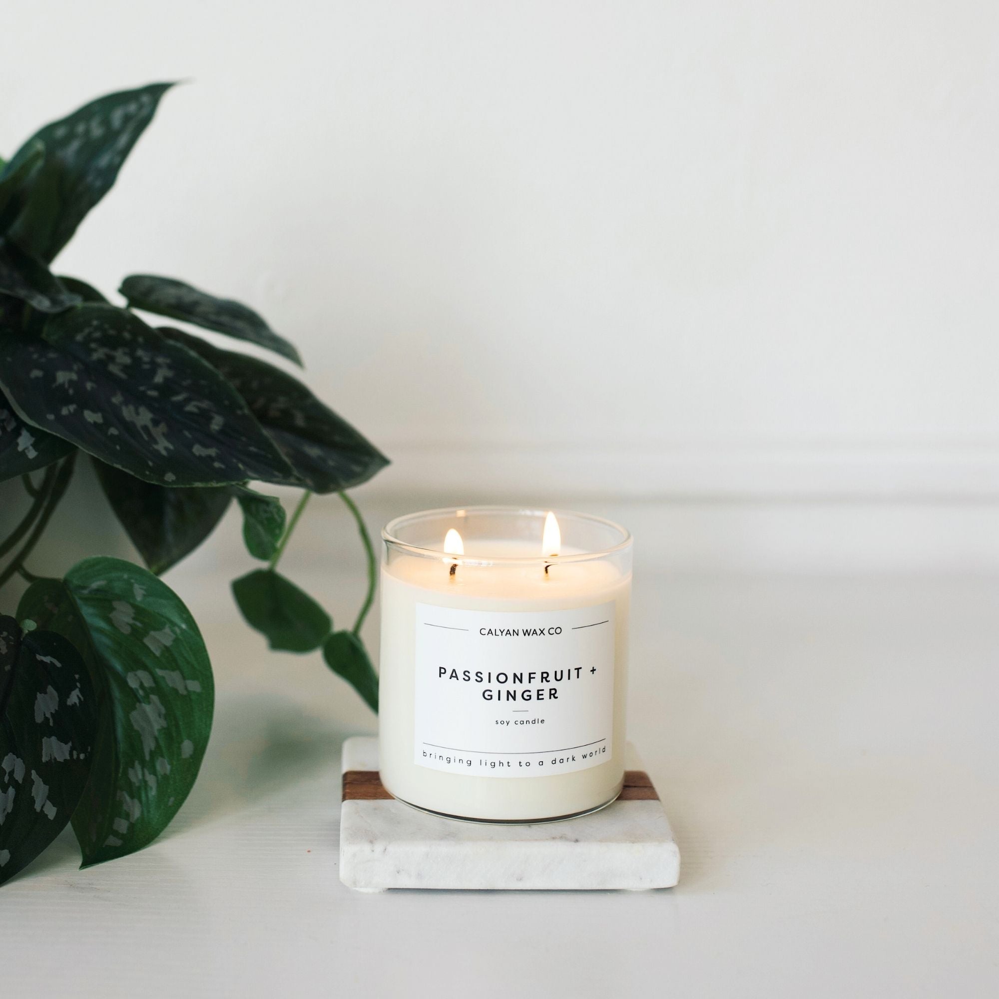 Passionfruit + Ginger Glass Tumbler Soy Candle - Calyan Wax Co.